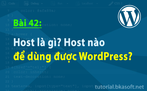host-la-gi-host-nao-de-dung-duoc-wordpress