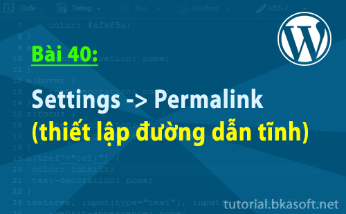 settings-permalink-thiet-lap-duong-dan-tinh
