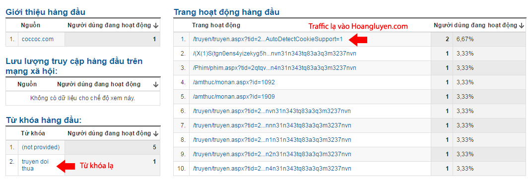 Traffic ảo từ Vnthuquan.net