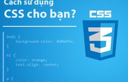 Cách sử dụng CSS?