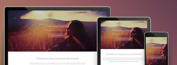 49 Template Responsive HTML5 CSS3 miễn phí > Tesselatte – A free responsive site template