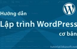 Hướng dẫn lập trình WordPress cơ bản