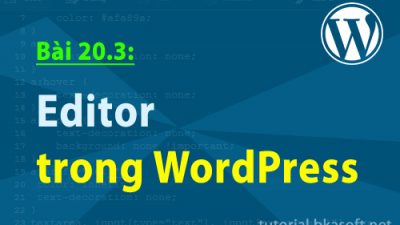 Bài 20.3: Editor trong WordPress