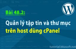 Bài 48.2: Quản lý tập tin và thư mục trên host dùng cPanel