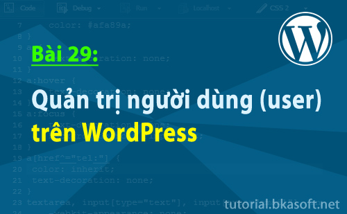 Bài 29: Quản trị người dùng (users) trên WordPress > quan-tri-nguoi-dung-user-tren-wordpress