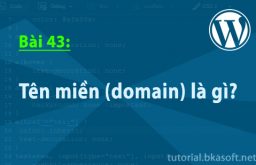 Bài 43: Tên miền (domain) là gì?