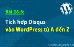 Bài 28.8: Tích hợp Disqus vào WordPress từ A đến Z