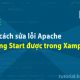 Hai cách sửa lỗi Apache không Start được trong Xampp
