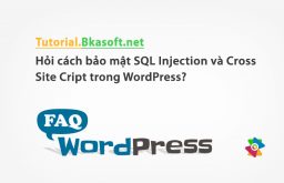 Hỏi cách bảo mật SQL Injection và Cross Site Cript trong WordPress?