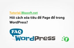 Hỏi cách xóa tiêu đề Page để trong WordPress?