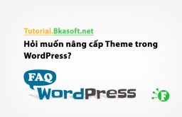 Hỏi muốn nâng cấp Theme trong WordPress?