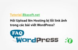 Hỏi Upload lên Hosting bị lỗi link ảnh trong các bài viết WordPress?