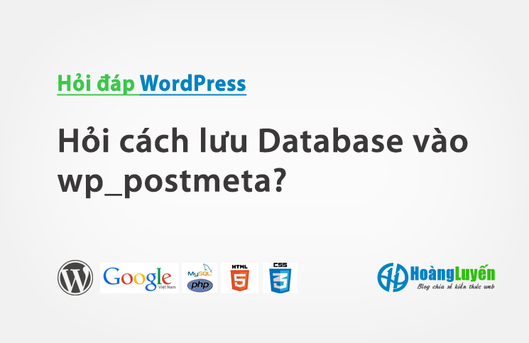 Hỏi cách lưu Database vào postmeta?