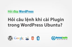 Hỏi câu lệnh khi cài Plugin trong WordPress Ubuntu?