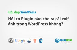 Hỏi có Plugin nào cho ra cái exif ảnh trong WordPress không?