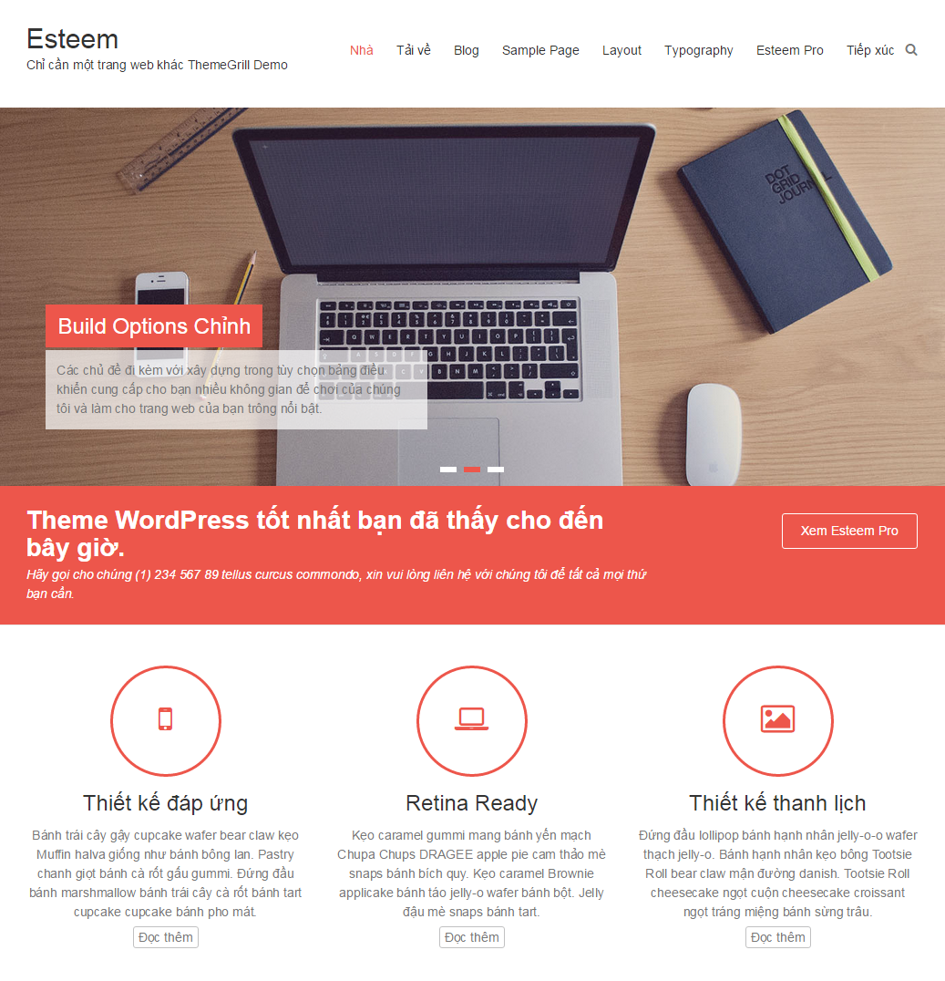 Download themes WordPress Responsive công ty miễn phí 2015 > Themes WordPress Esteem - Kinh doanh