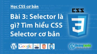 Selector là gì? Tìm hiểu về Selector trong CSS