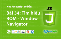 Tìm hiểu BOM – Window Navigator trong Javascript